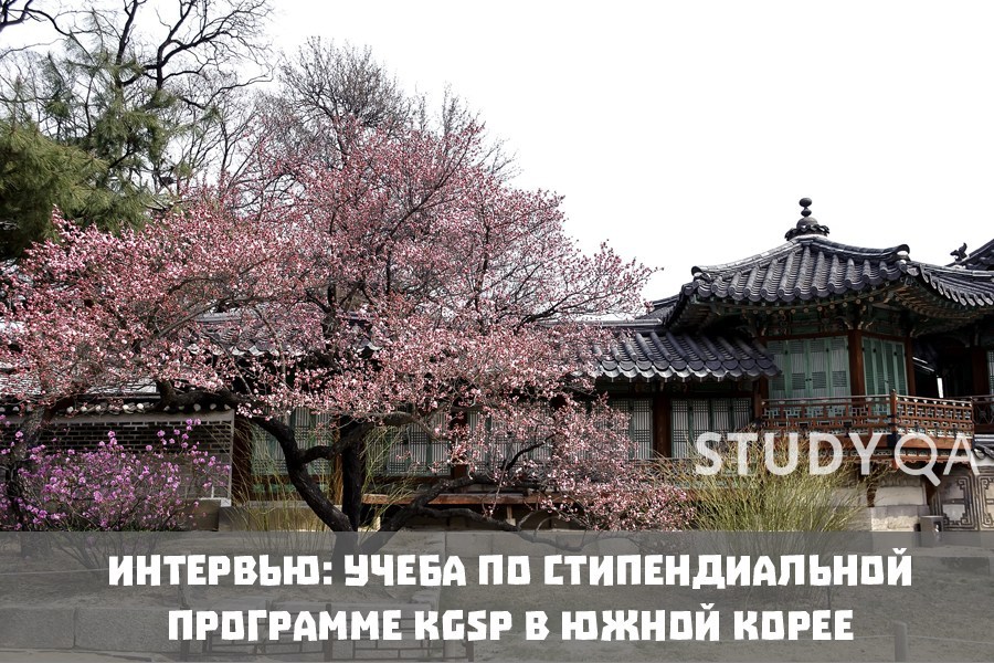 scholarship korea kgsp